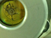 Tube end.jpg