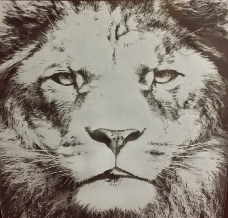 20150308_202304.jpg