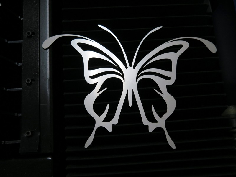 Butterfly-A.jpg